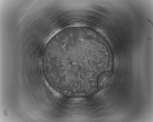 X0000102471425200809051322