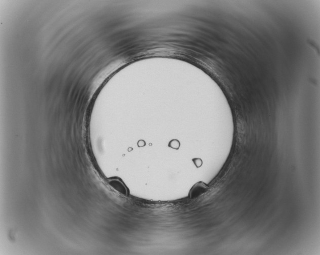 X0000102471426200809051322