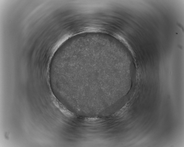 X0000102471427200809051322