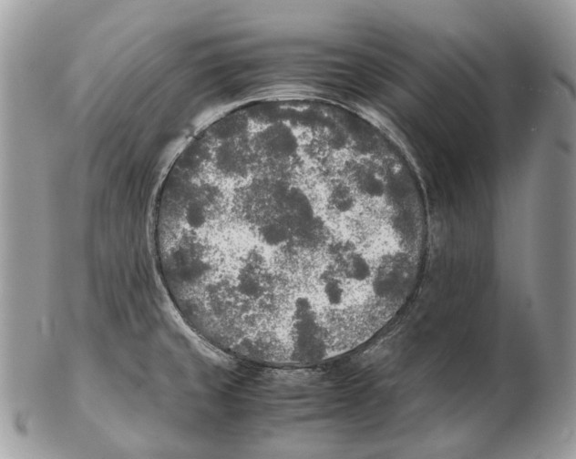 X0000102471429200809051322