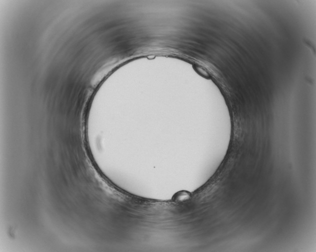 X0000102471430200809051322