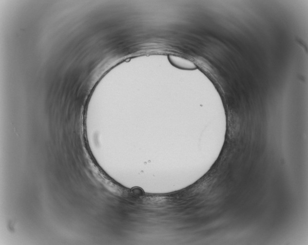 X0000102471431200809051322