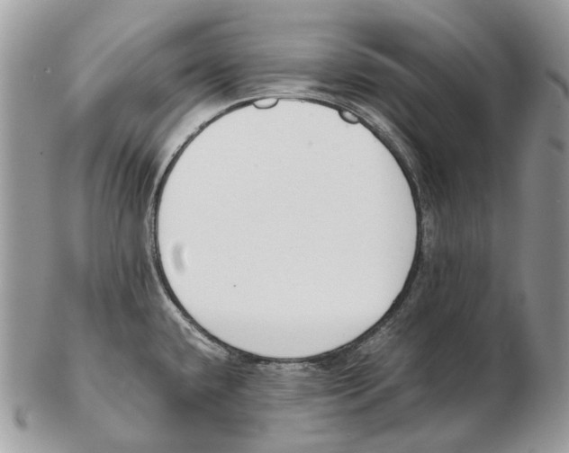 X0000102471432200809051322