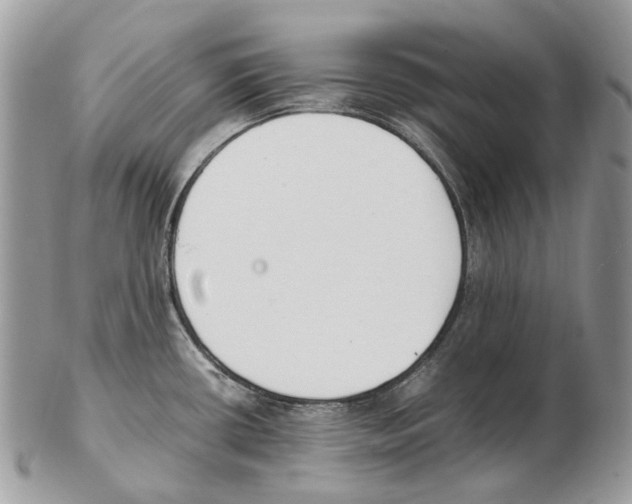 X0000102471434200809051322