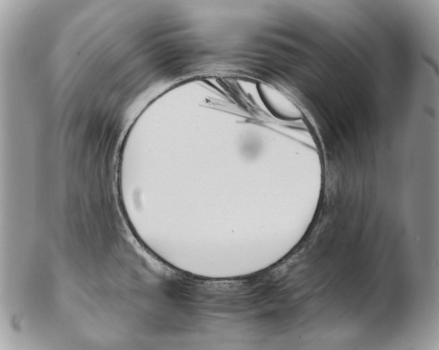 X0000102471437200809051322