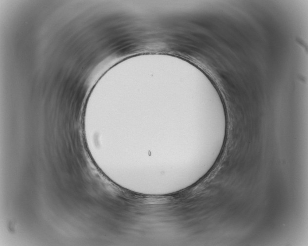 X0000102471440200809051322