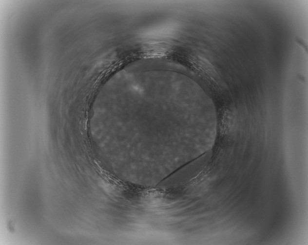 X0000102471441200809051322