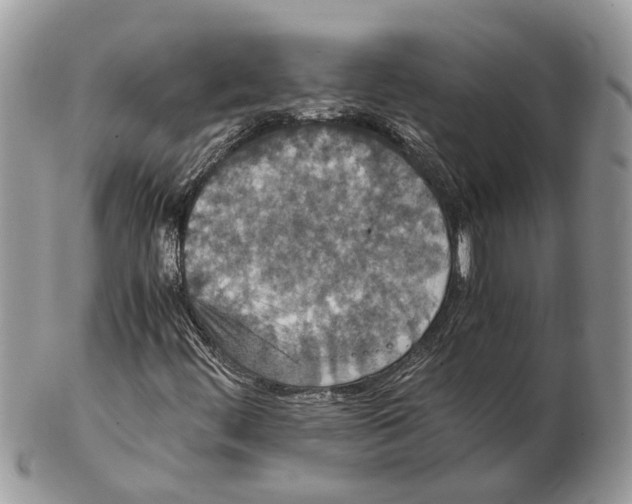 X0000102471444200809051322
