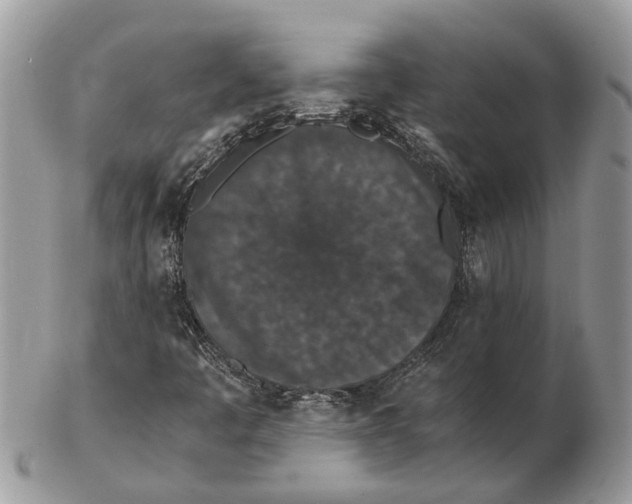 X0000102471445200809051322