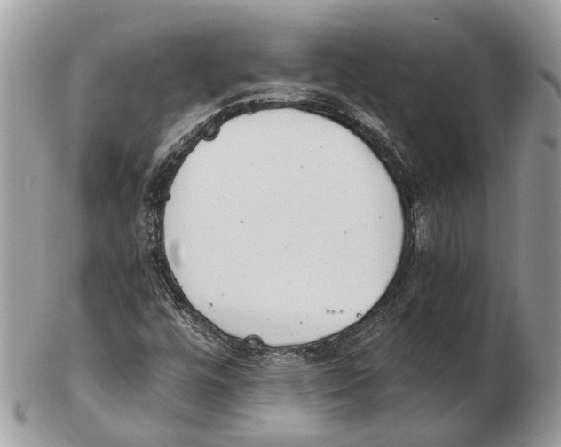 X0000102471448200809051322