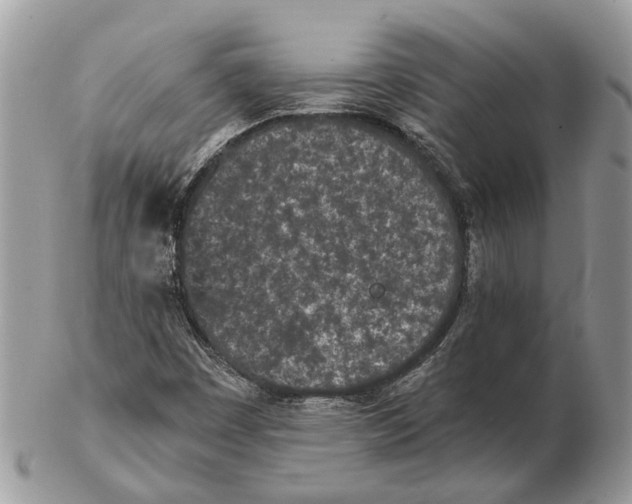 X0000102471449200809051322