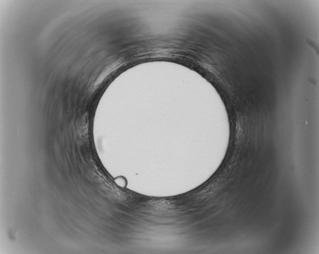 X0000102471450200809051322