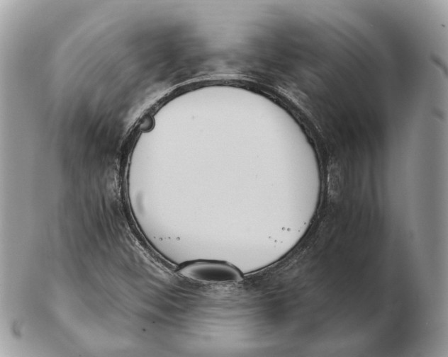 X0000102471452200809051322