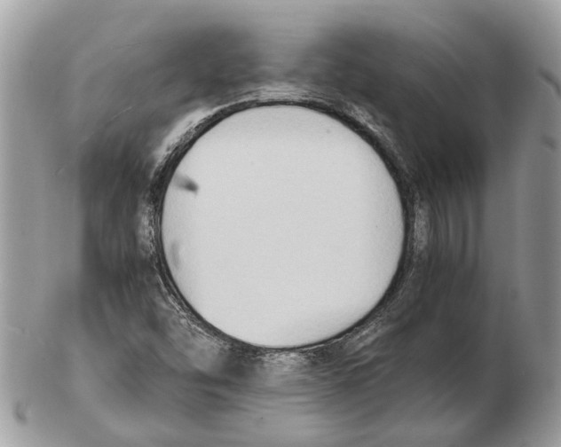 X0000102471454200809051322