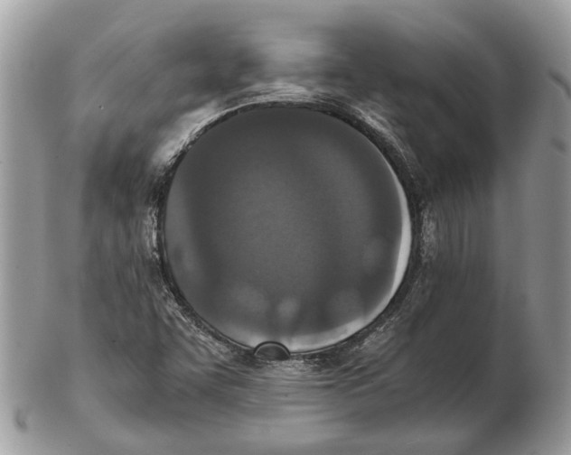 X0000102471455200809051322