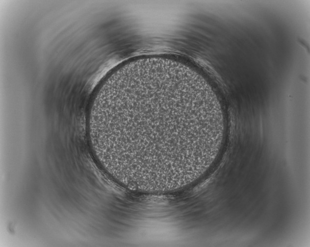 X0000102471457200809051322