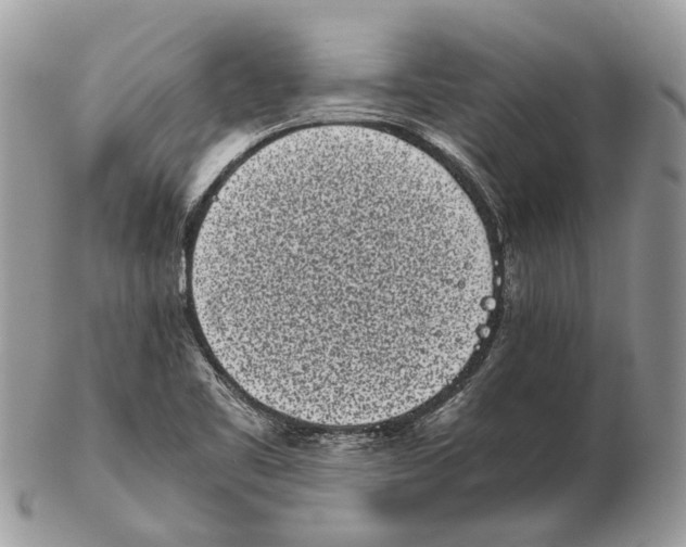 X0000102471461200809051322