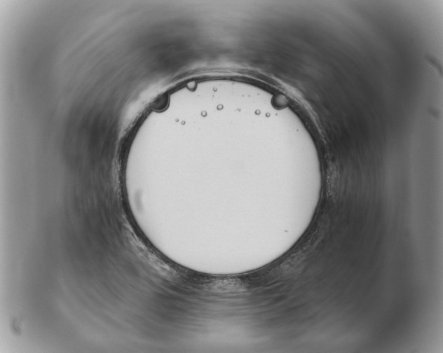 X0000102471464200809051322