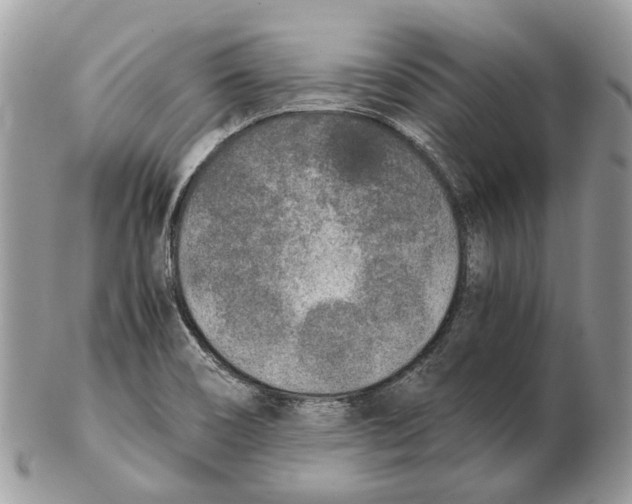 X0000102471466200809051321