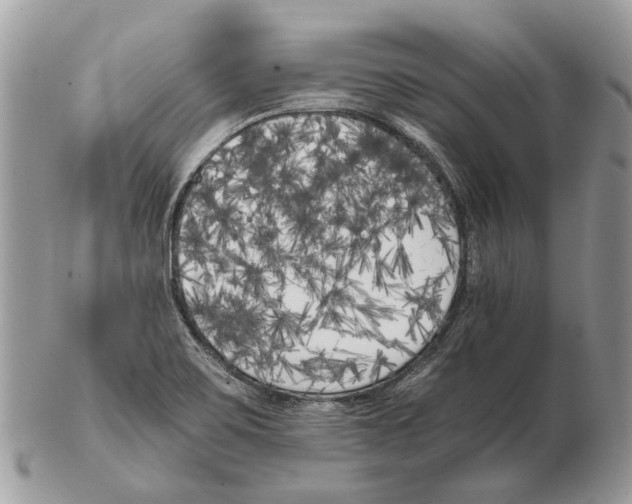 X0000102471467200809051321