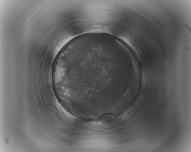 X0000102471468200809051321