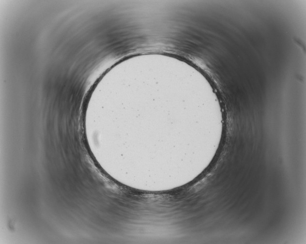 X0000102471469200809051321
