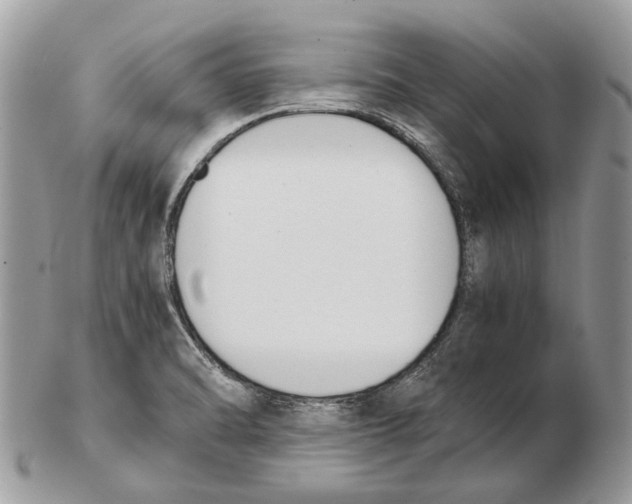X0000102471470200809051321