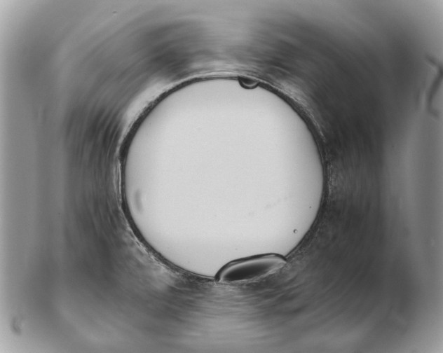X0000102471472200809051321