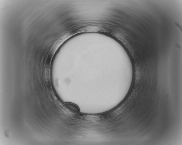 X0000102471473200809051321
