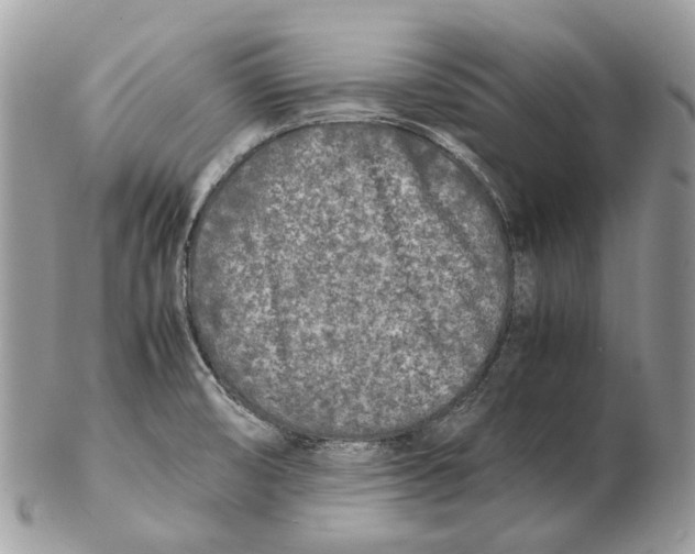 X0000102471474200809051321