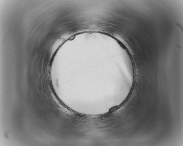 X0000102471477200809051321