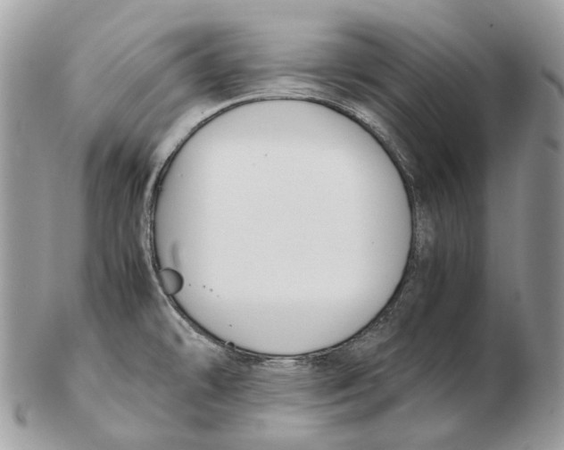 X0000102471478200809051321