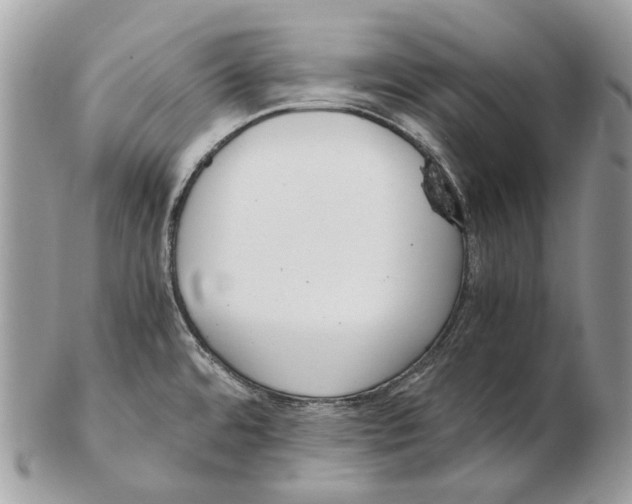 X0000102471480200809051321