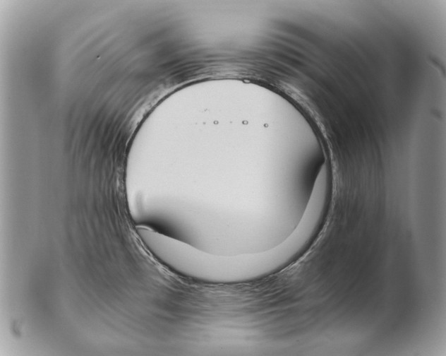 X0000102471481200809051321