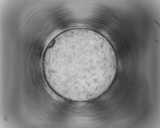 X0000102471482200809051321