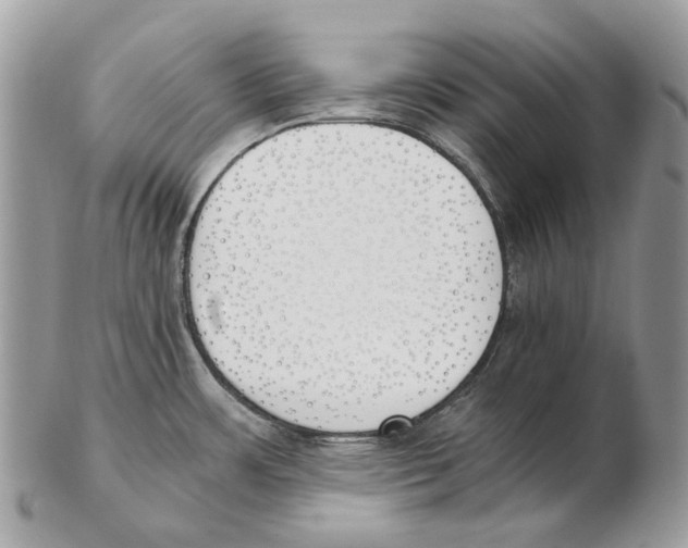 X0000102471483200809051321