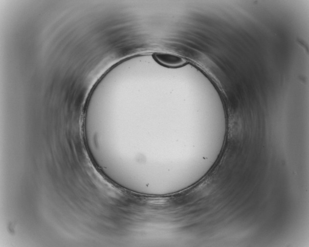 X0000102471484200809051321