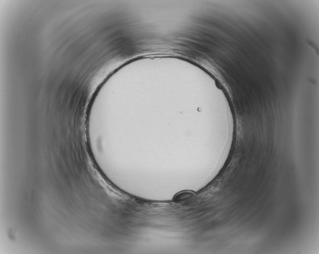 X0000102471485200809051321