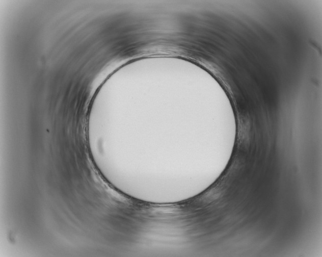 X0000102471486200809051321