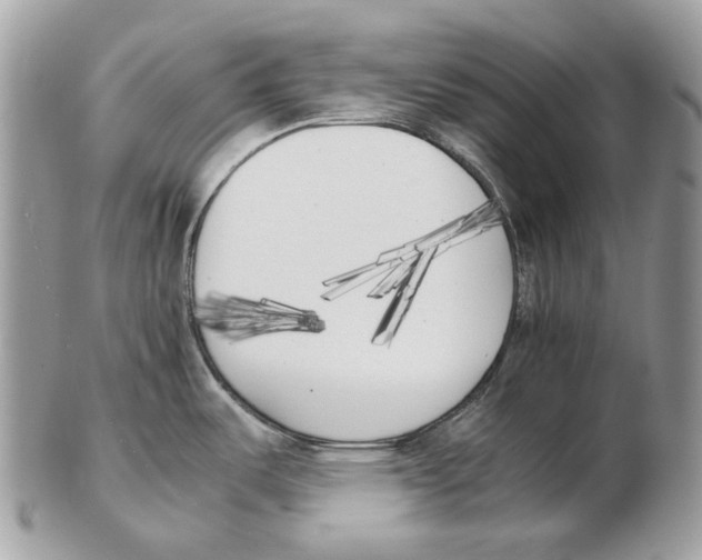 X0000102471487200809051321