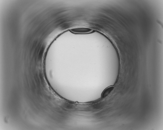 X0000102471488200809051321