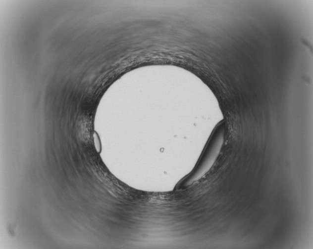 X0000102471490200809051320