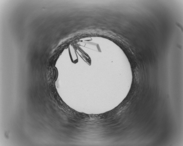 X0000102471494200809051320