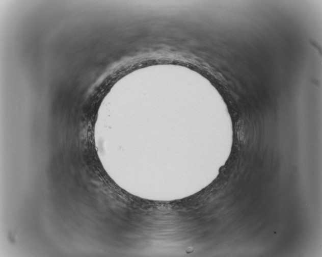 X0000102471495200809051320