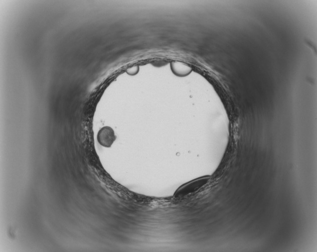 X0000102471496200809051320