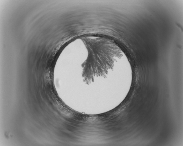 X0000102471497200809051320