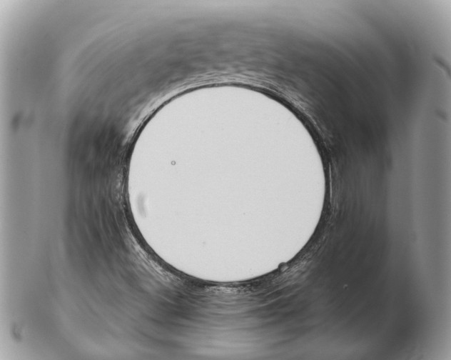 X0000102471500200809051320