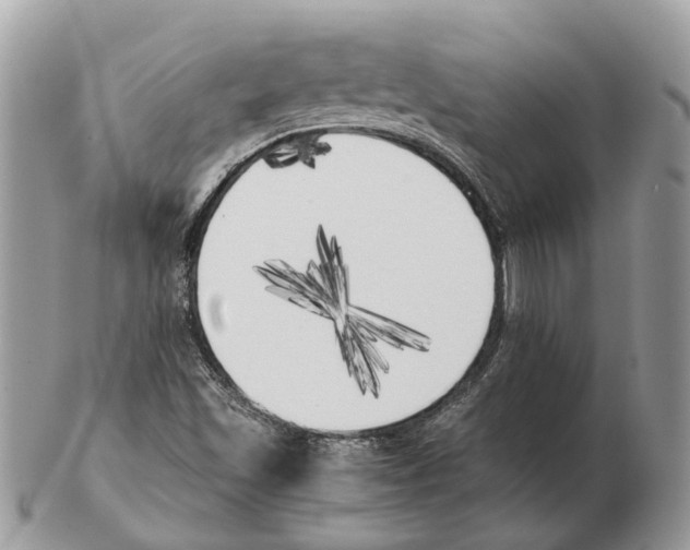 X0000102471501200809051320