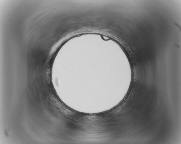 X0000102471502200809051320