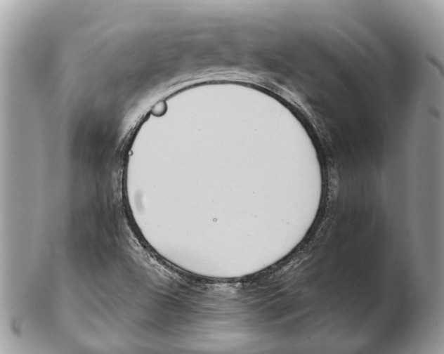 X0000102471504200809051320